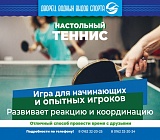 Настольный теннис